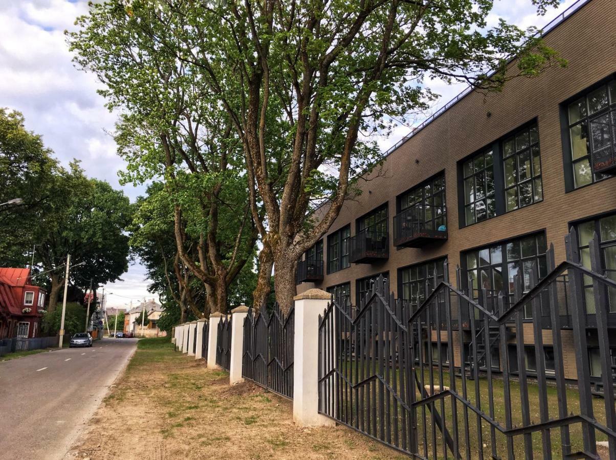 Modern And Spacious Loft Type Apartment 8 With Free Private Parking By "Owl Jazz Apartments" 考纳斯 外观 照片